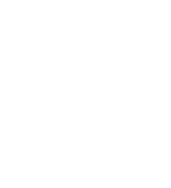 Falcon Educação